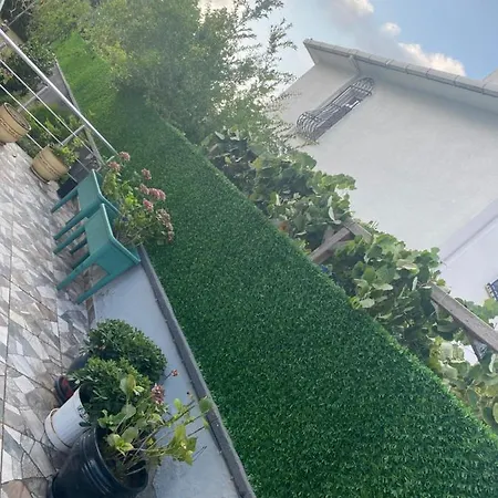 Kumbaba'da Mustakil فيلة أجفا